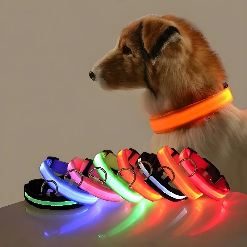 Collier Lumineux LED pour Chien – Sécurité Nocturne, Réglable & Résistant, Multi-Modes & Haute Visibilité