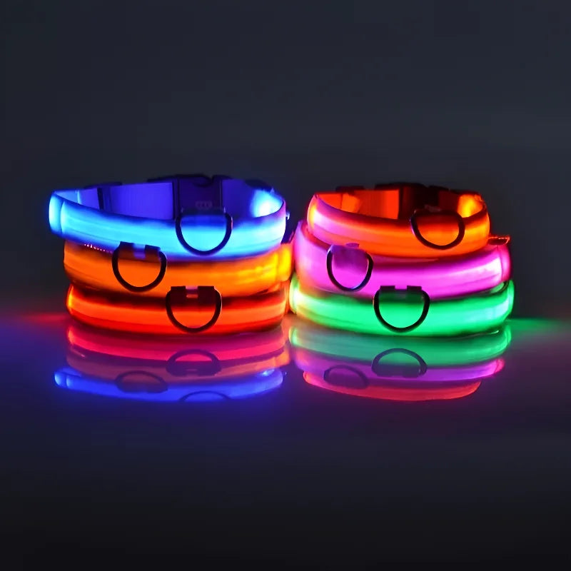 Collier Lumineux LED pour Chien – Sécurité Nocturne, Réglable & Résistant, Multi-Modes & Haute Visibilité