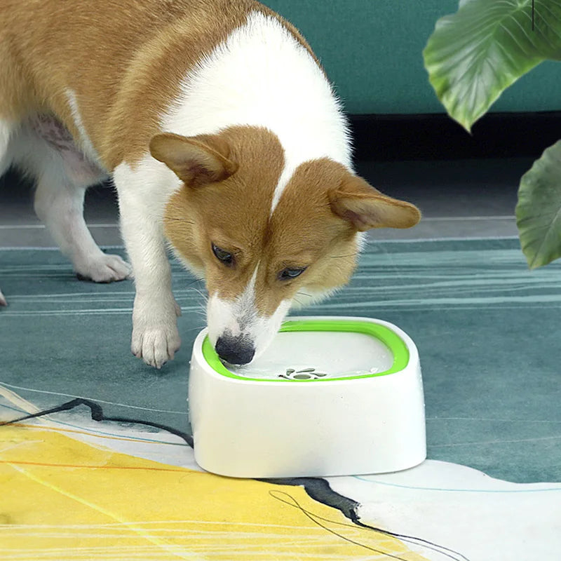 Gamelle d’Eau Anti-Éclaboussures pour Chien et Chat – Système Flottant & Anti-Mouillage