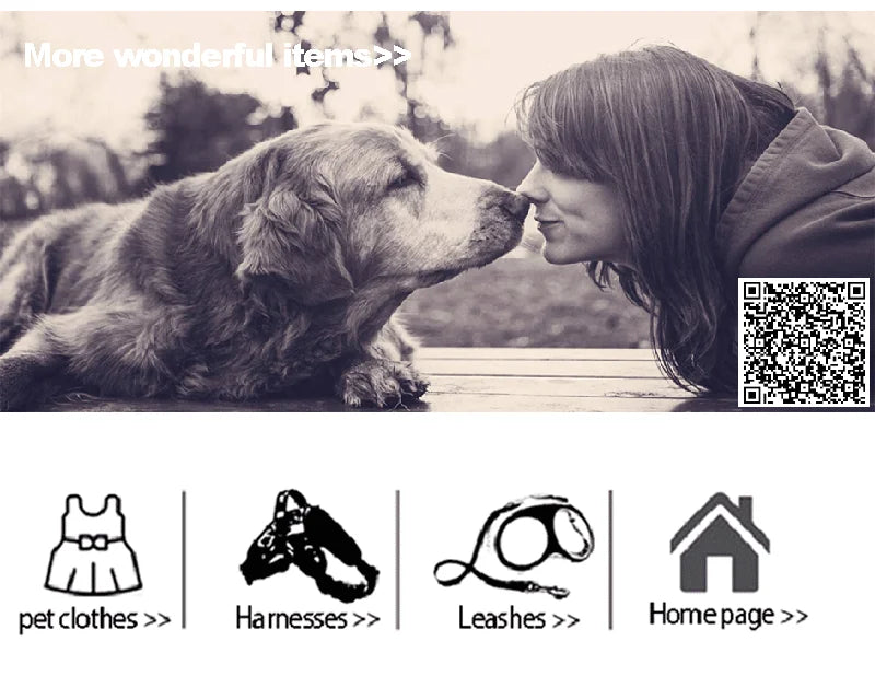 Imperméable pour Chiens – Léger, Confortable & Étanche avec Capuche Transparente