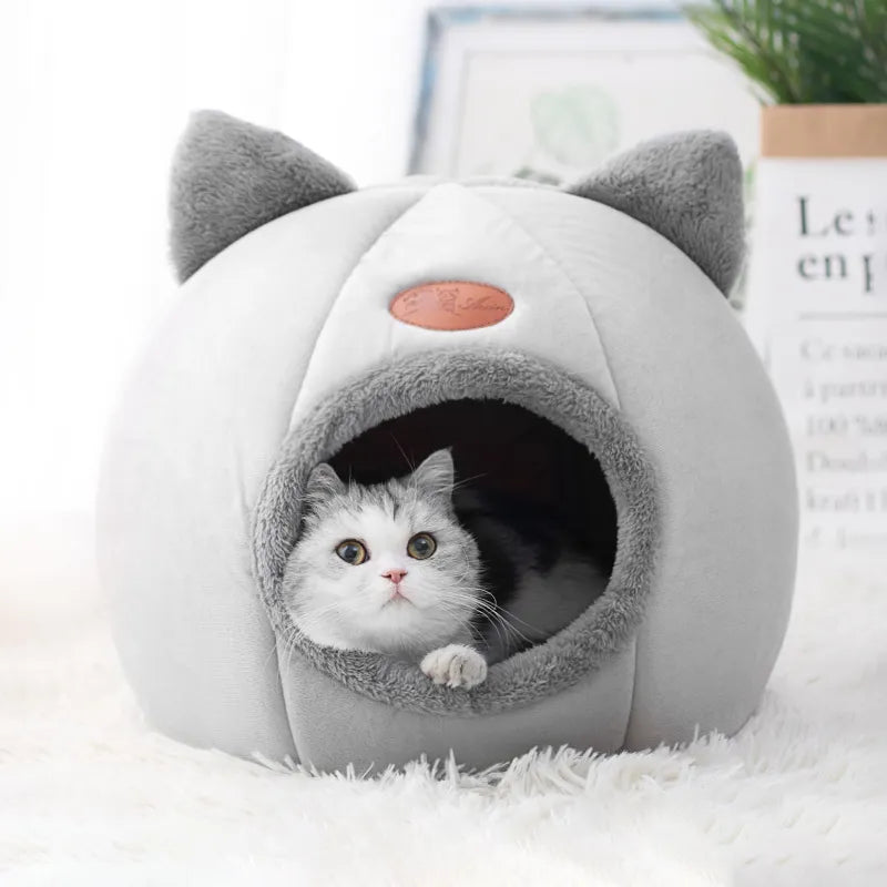 Maison Douillette pour Chats – Confort & Chaleur en Hiver 🐱🏡🔥