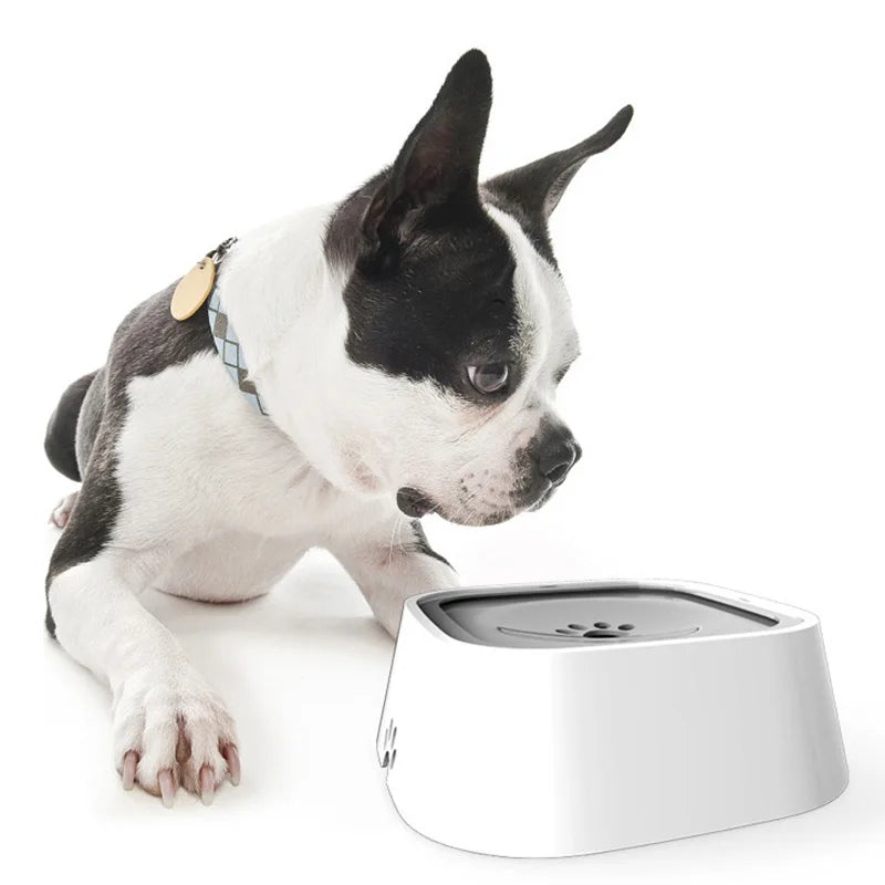Gamelle d’Eau Anti-Éclaboussures pour Chien et Chat – Système Flottant & Anti-Mouillage
