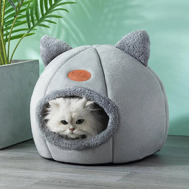Maison Douillette pour Chats – Confort & Chaleur en Hiver 🐱🏡🔥