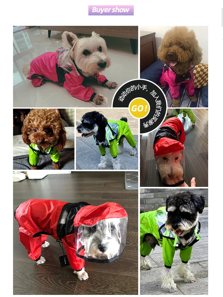 Imperméable pour Chiens – Léger, Confortable & Étanche avec Capuche Transparente