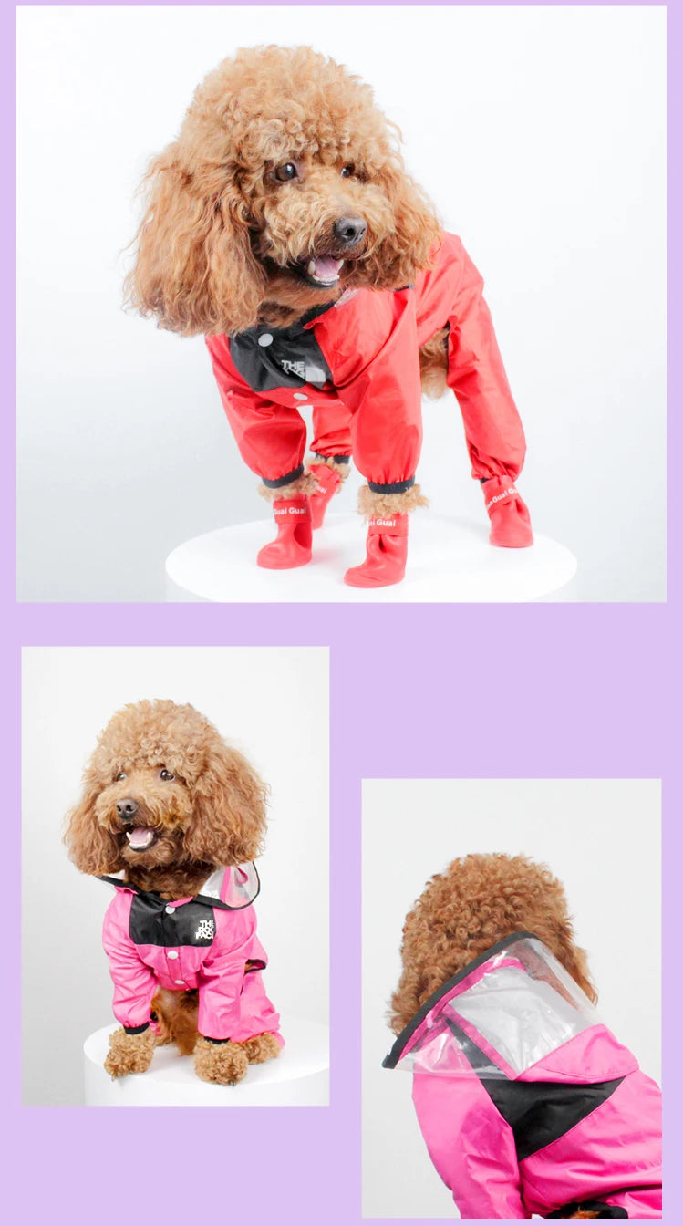 Imperméable pour Chiens – Léger, Confortable & Étanche avec Capuche Transparente