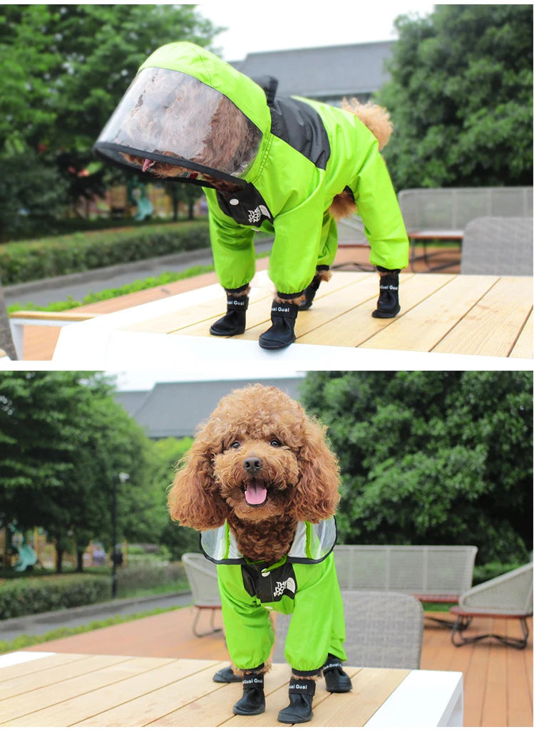 Imperméable pour Chiens – Léger, Confortable & Étanche avec Capuche Transparente
