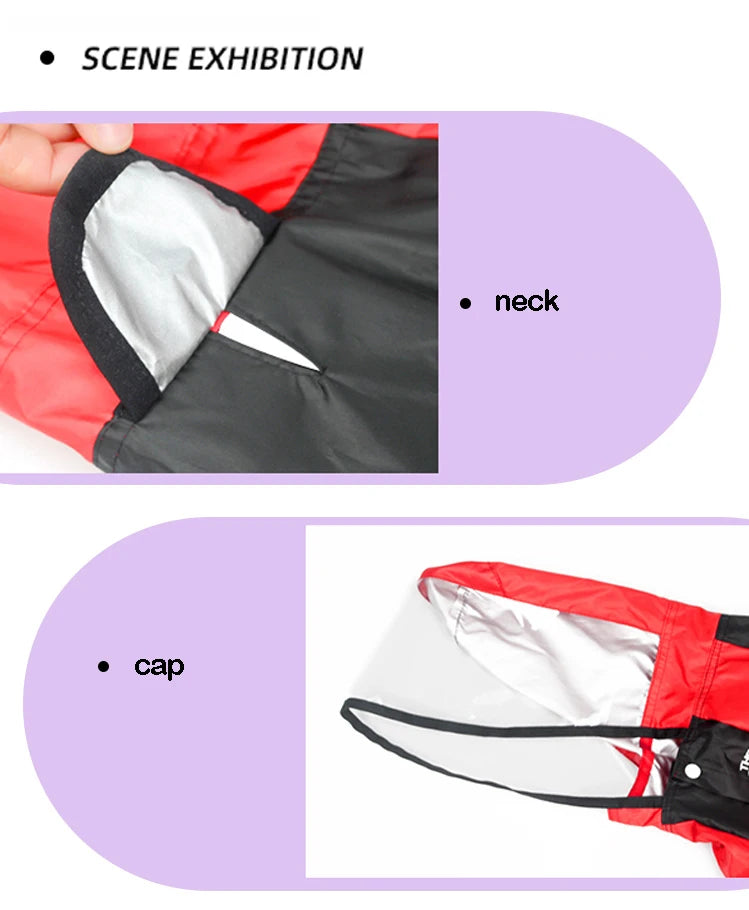 Imperméable pour Chiens – Léger, Confortable & Étanche avec Capuche Transparente