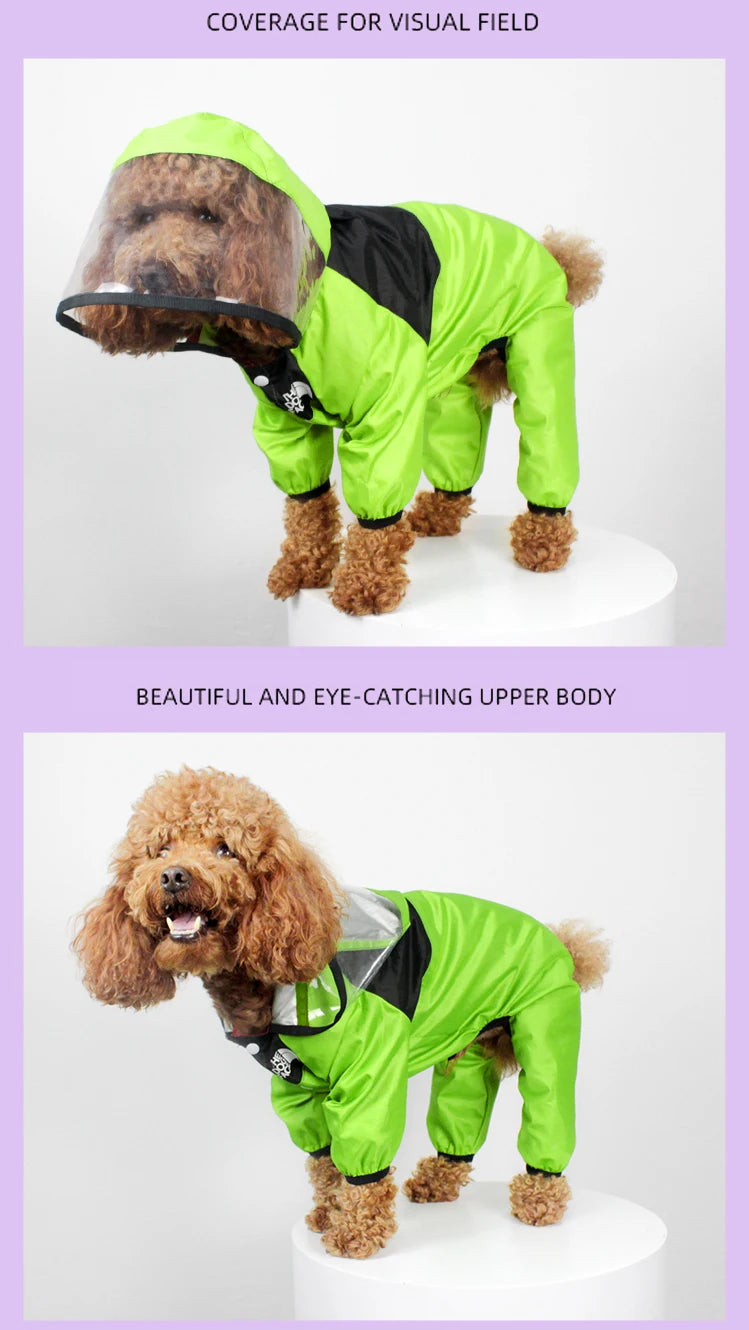 Imperméable pour Chiens – Léger, Confortable & Étanche avec Capuche Transparente