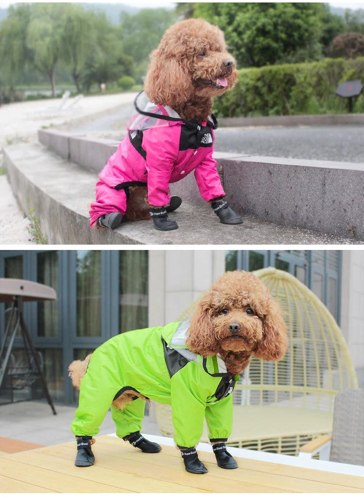 Imperméable pour Chiens – Léger, Confortable & Étanche avec Capuche Transparente
