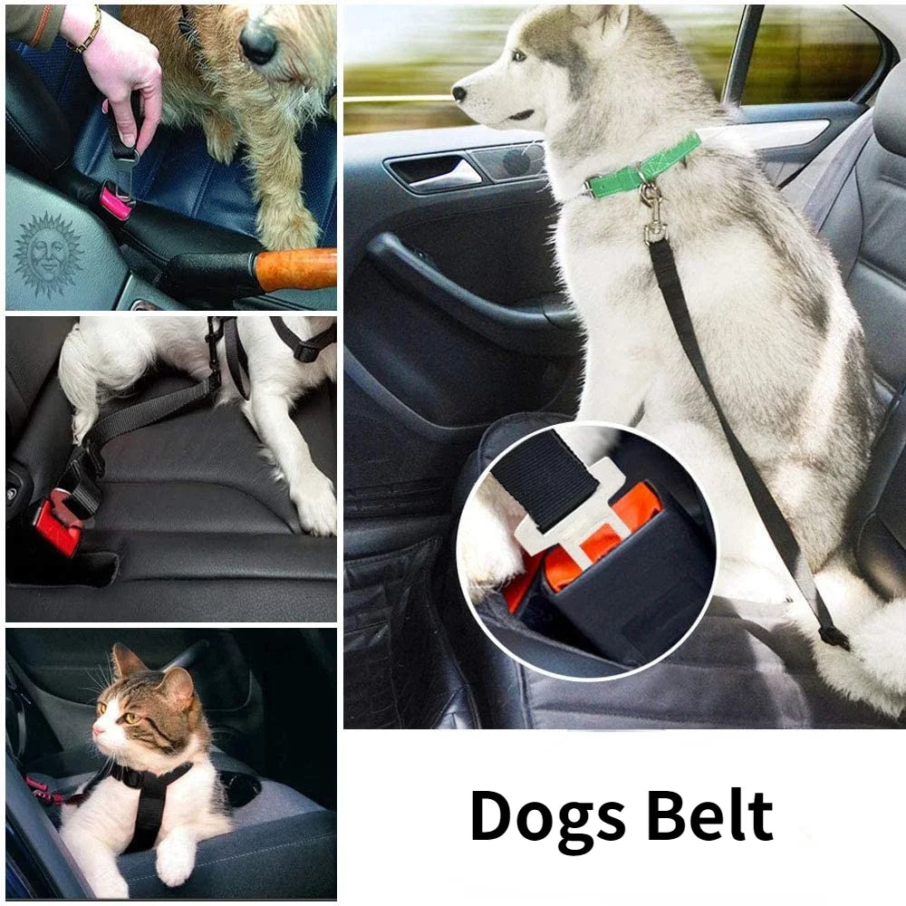 Ceinture de Sécurité Réglable pour Chiens et Chats – Sécurise Vos Animaux en Voiture 🚗🐶🐱