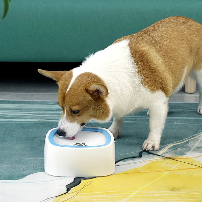 Gamelle d’Eau Anti-Éclaboussures pour Chien et Chat – Système Flottant & Anti-Mouillage