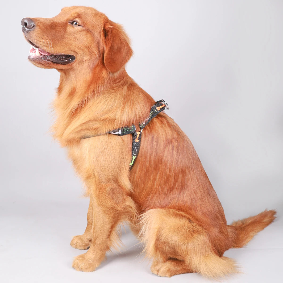 Harnais Réglable pour Chiens – Sécurisé & Confortable avec Motif Os Coloré