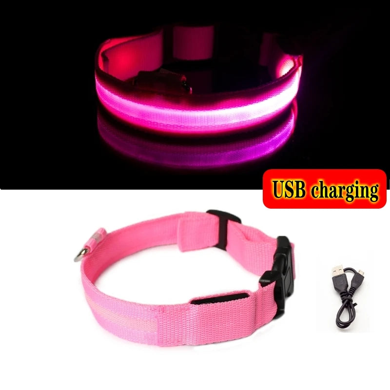 Collier Lumineux LED pour Chiens et Chats – Sécurité Nocturne & Recharge USB 🔦🐶🐱