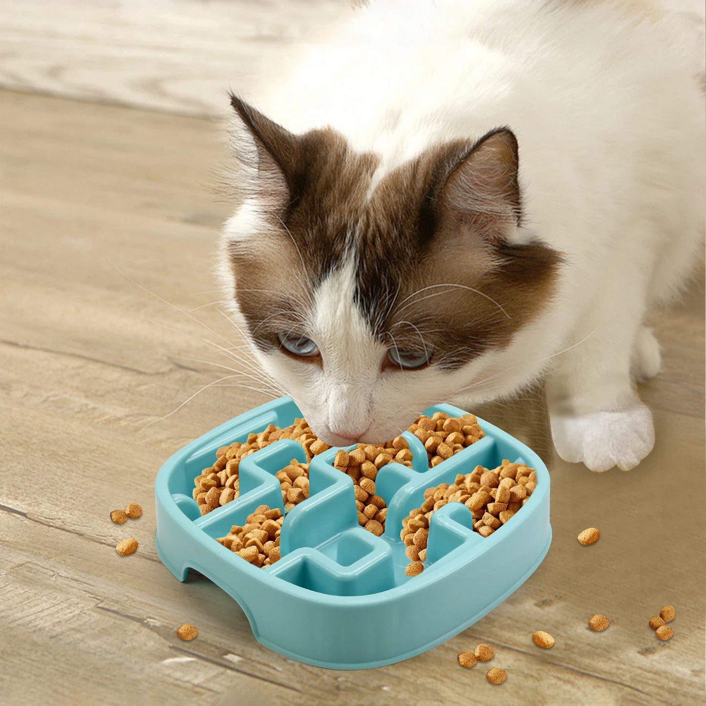 🐶 Bol Anti-Glouton pour Chiens – Ralentissez les Repas pour une Meilleure Digestion ! 🦴