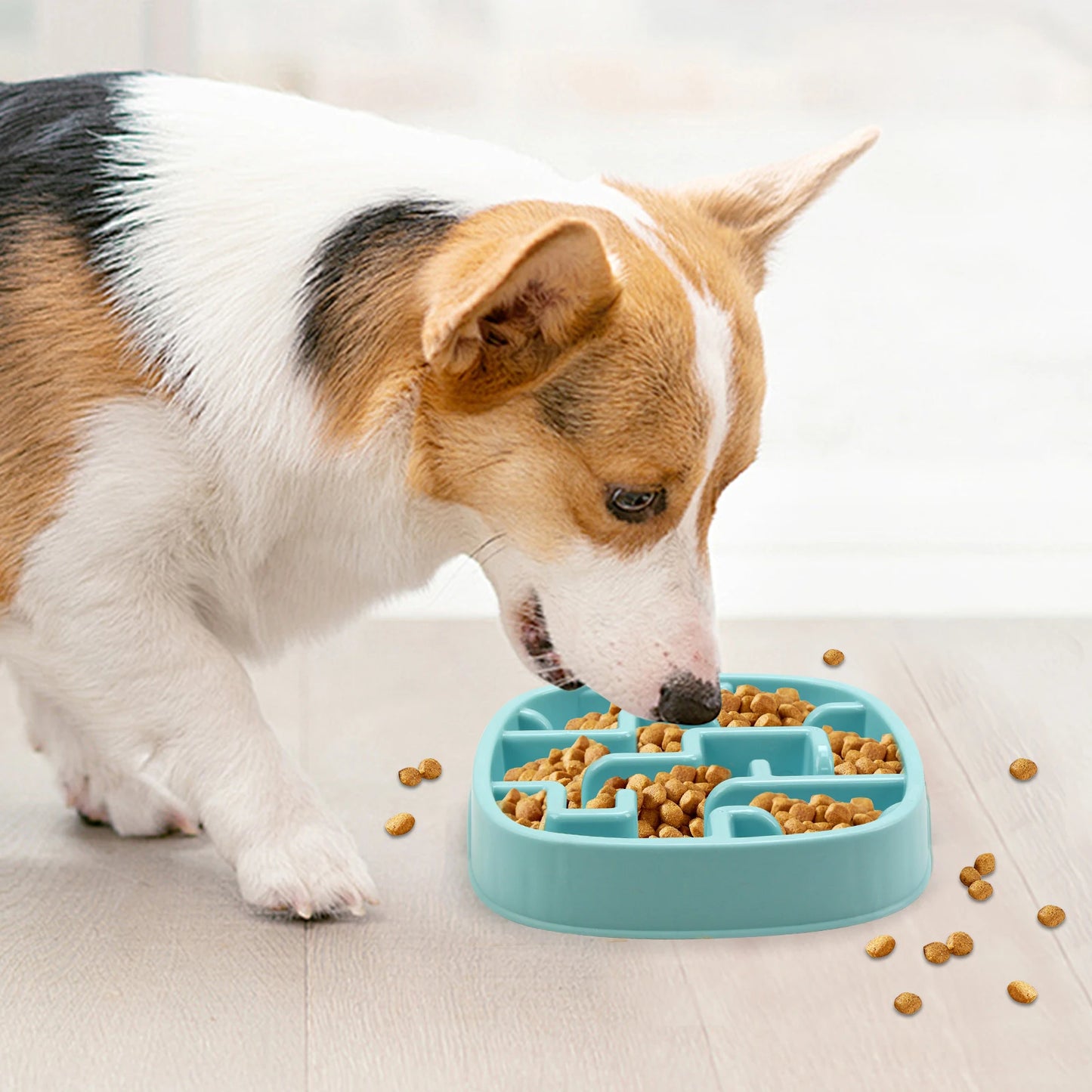 🐶 Bol Anti-Glouton pour Chiens – Ralentissez les Repas pour une Meilleure Digestion ! 🦴