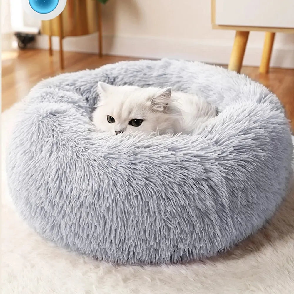 Panier Douillet pour Chats â Lit Moelleux et Chaud en Peluche đ±đ€