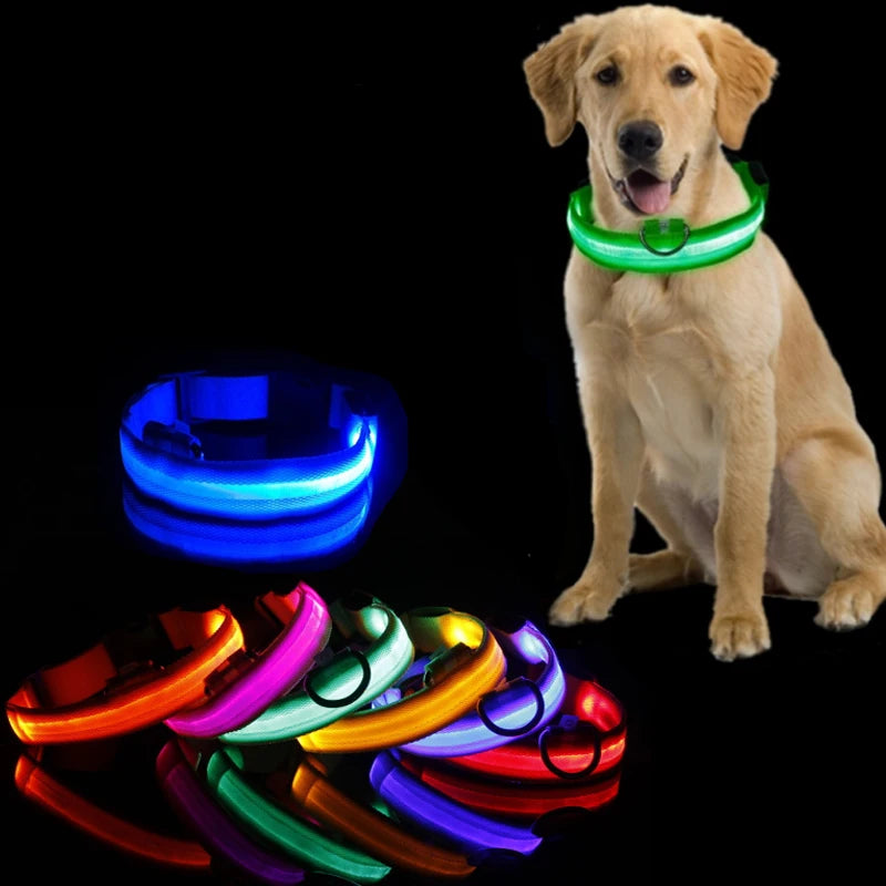 Collier Lumineux LED pour Chiens et Chats – Sécurité Nocturne & Recharge USB 🔦🐶🐱