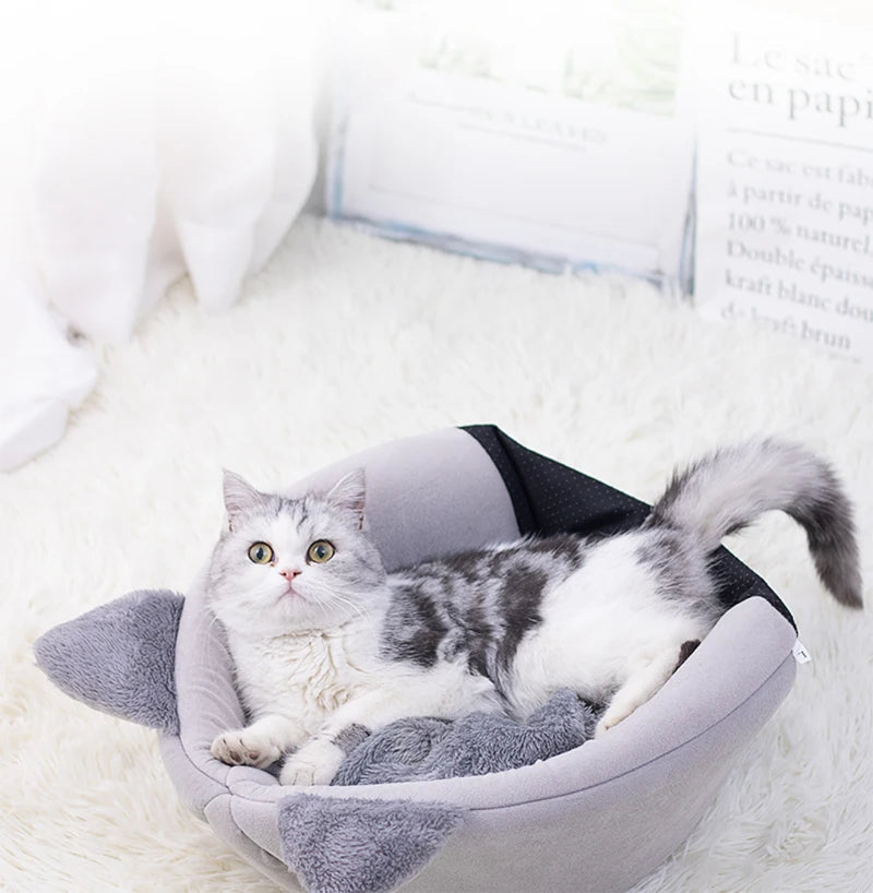 Maison Douillette pour Chats – Confort & Chaleur en Hiver 🐱🏡🔥