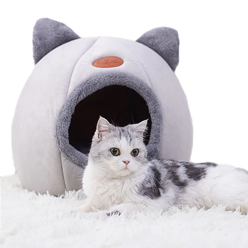 Maison Douillette pour Chats – Confort & Chaleur en Hiver 🐱🏡🔥