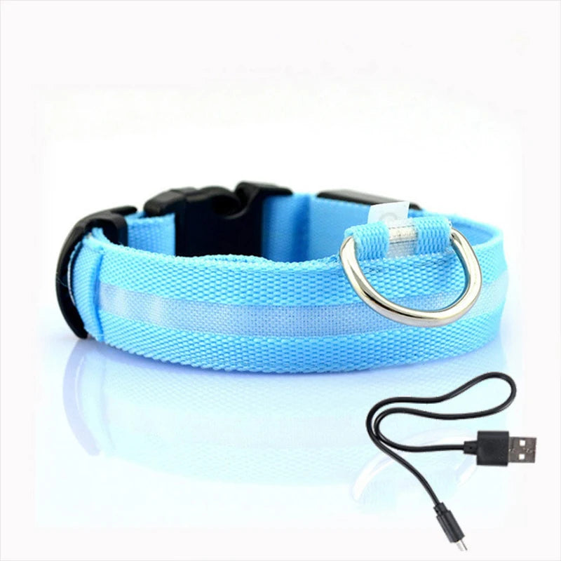 Collier Lumineux LED pour Chiens et Chats – Sécurité Nocturne & Recharge USB 🔦🐶🐱