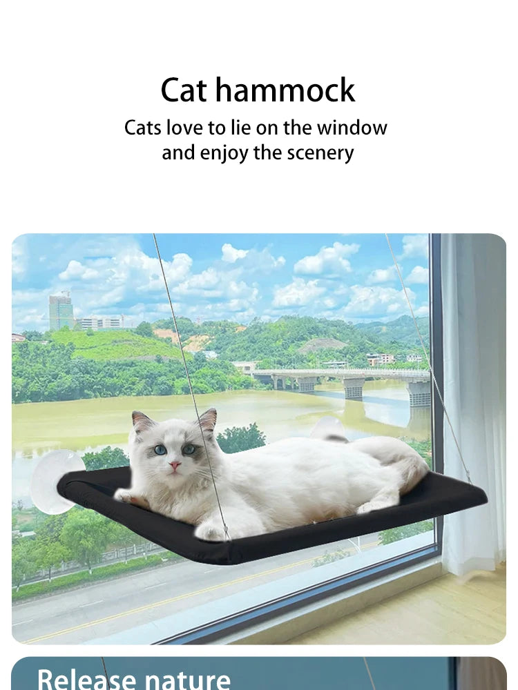 Hamac de Fenêtre pour Chats – Nid Suspendu Confortable et Respirant 🐱☁️