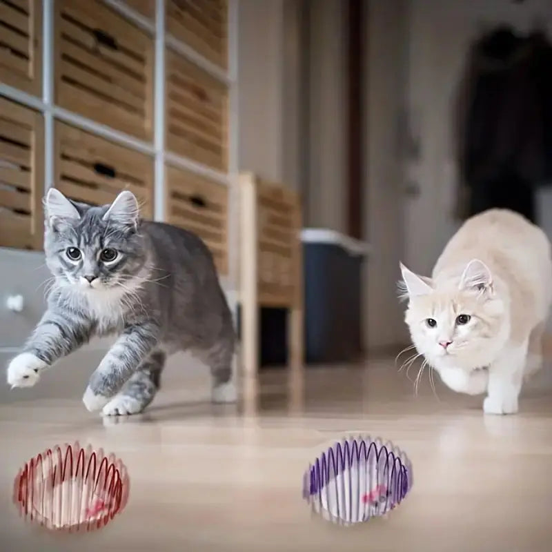 Jouet Ressort Interactif pour Chats – Amusement Infini et Stimulation 🐾🎾