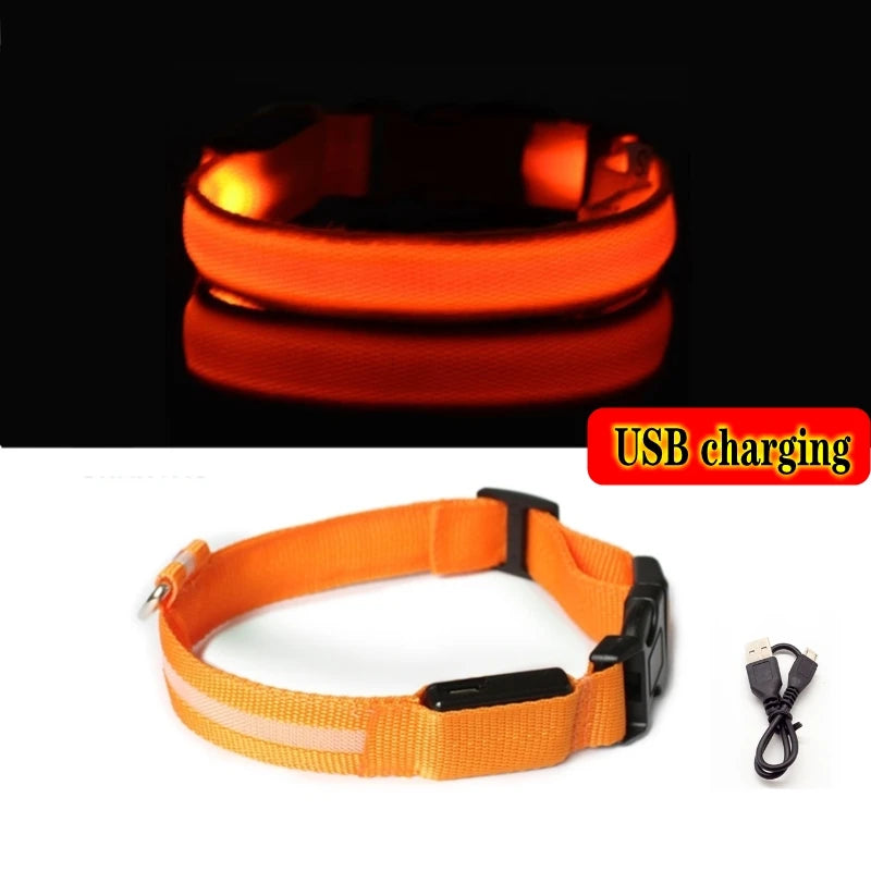 Collier Lumineux LED pour Chiens et Chats – Sécurité Nocturne & Recharge USB 🔦🐶🐱