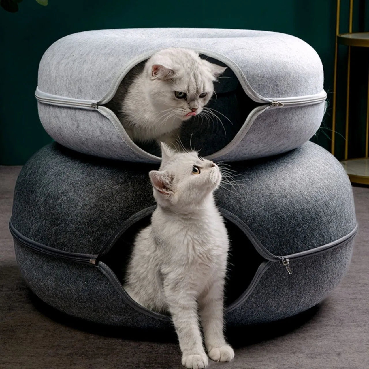 Tunnel de Jeu Interactif en Feutrine pour Chats – Maison & Entraînement Ludique 🐱