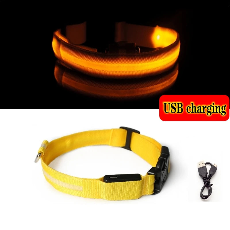 Collier Lumineux LED pour Chiens et Chats – Sécurité Nocturne & Recharge USB 🔦🐶🐱