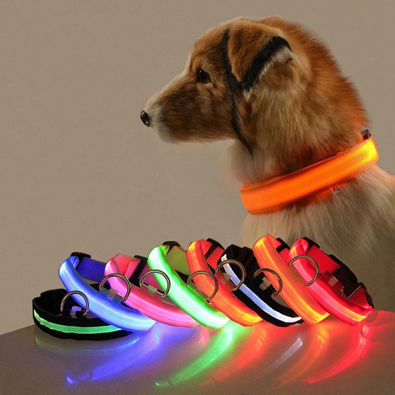 Collier Lumineux LED pour Chiens et Chats – Sécurité Nocturne & Recharge USB 🔦🐶🐱