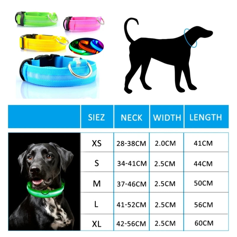 Collier Lumineux LED pour Chiens et Chats – Sécurité Nocturne & Recharge USB 🔦🐶🐱