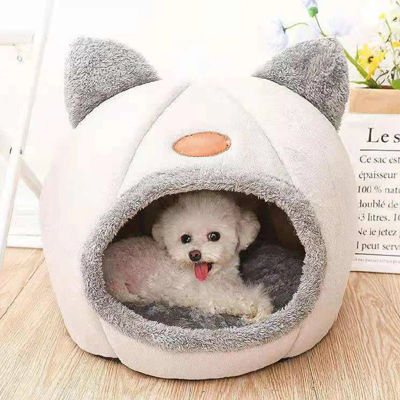 Maison Douillette pour Chats – Confort & Chaleur en Hiver 🐱🏡🔥
