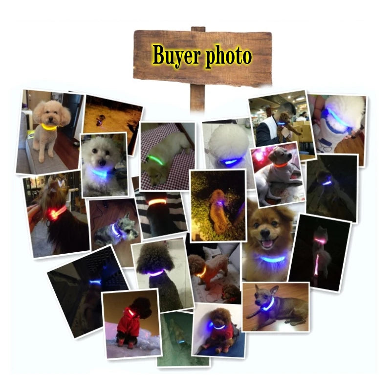 Collier Lumineux LED pour Chiens et Chats – Sécurité Nocturne & Recharge USB 🔦🐶🐱