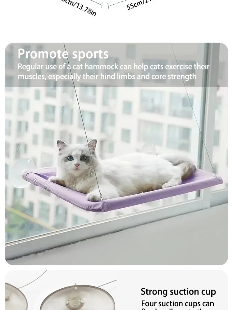 Hamac de Fenêtre pour Chats – Nid Suspendu Confortable et Respirant 🐱☁️