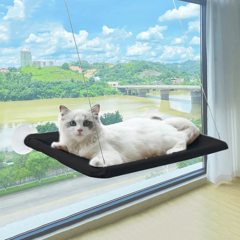 Hamac de Fenêtre pour Chats – Nid Suspendu Confortable et Respirant 🐱☁️