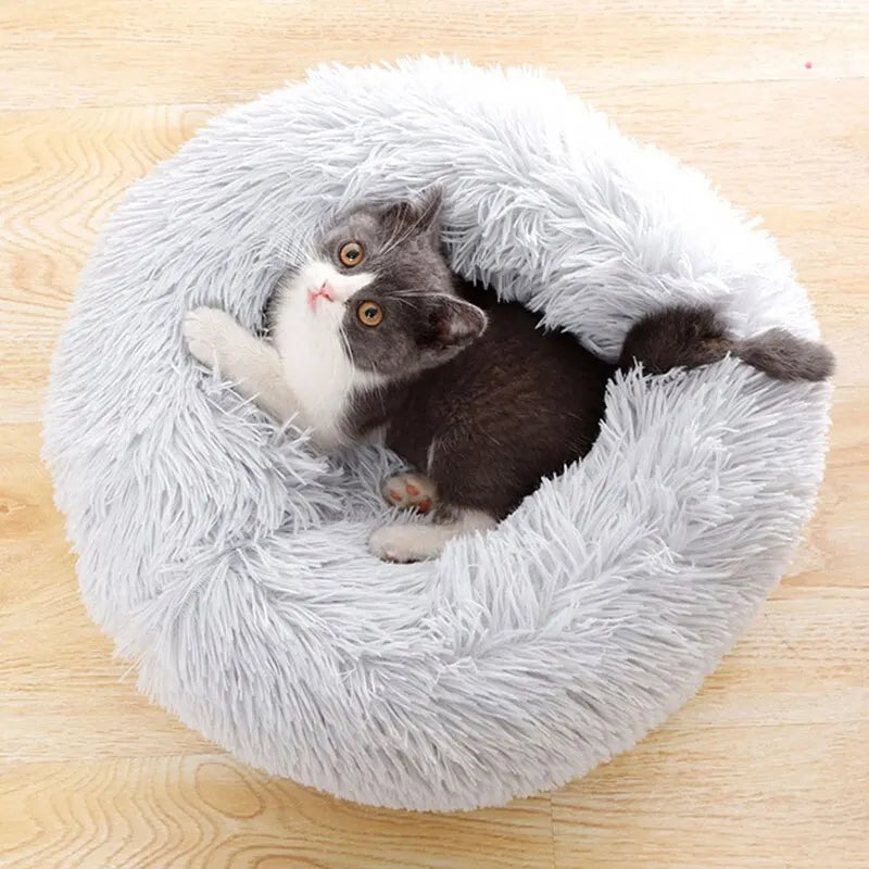 Panier Douillet pour Chats â Lit Moelleux et Chaud en Peluche đ±đ€