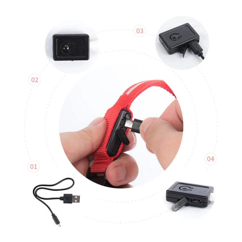 Collier Lumineux LED pour Chiens et Chats – Sécurité Nocturne & Recharge USB 🔦🐶🐱