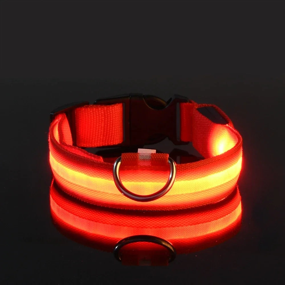 Collier Lumineux LED pour Chien – Sécurité Nocturne, Réglable & Résistant, Multi-Modes & Haute Visibilité