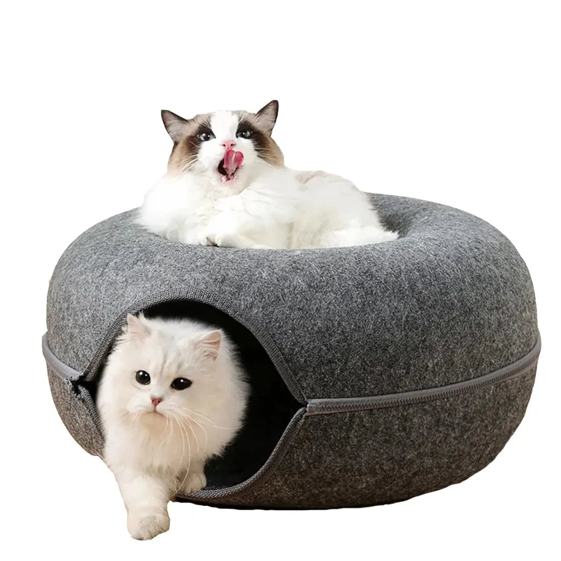 Tunnel de Jeu Interactif en Feutrine pour Chats – Maison & Entraînement Ludique 🐱