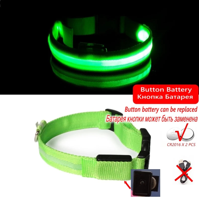 Collier Lumineux LED pour Chiens et Chats – Sécurité Nocturne & Recharge USB 🔦🐶🐱