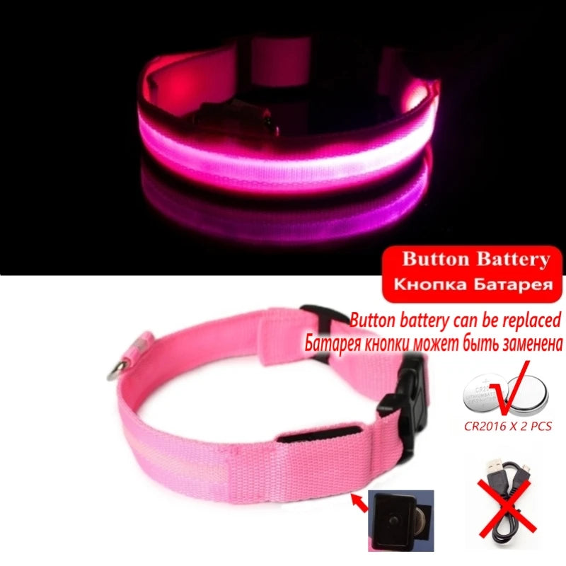 Collier Lumineux LED pour Chiens et Chats – Sécurité Nocturne & Recharge USB 🔦🐶🐱