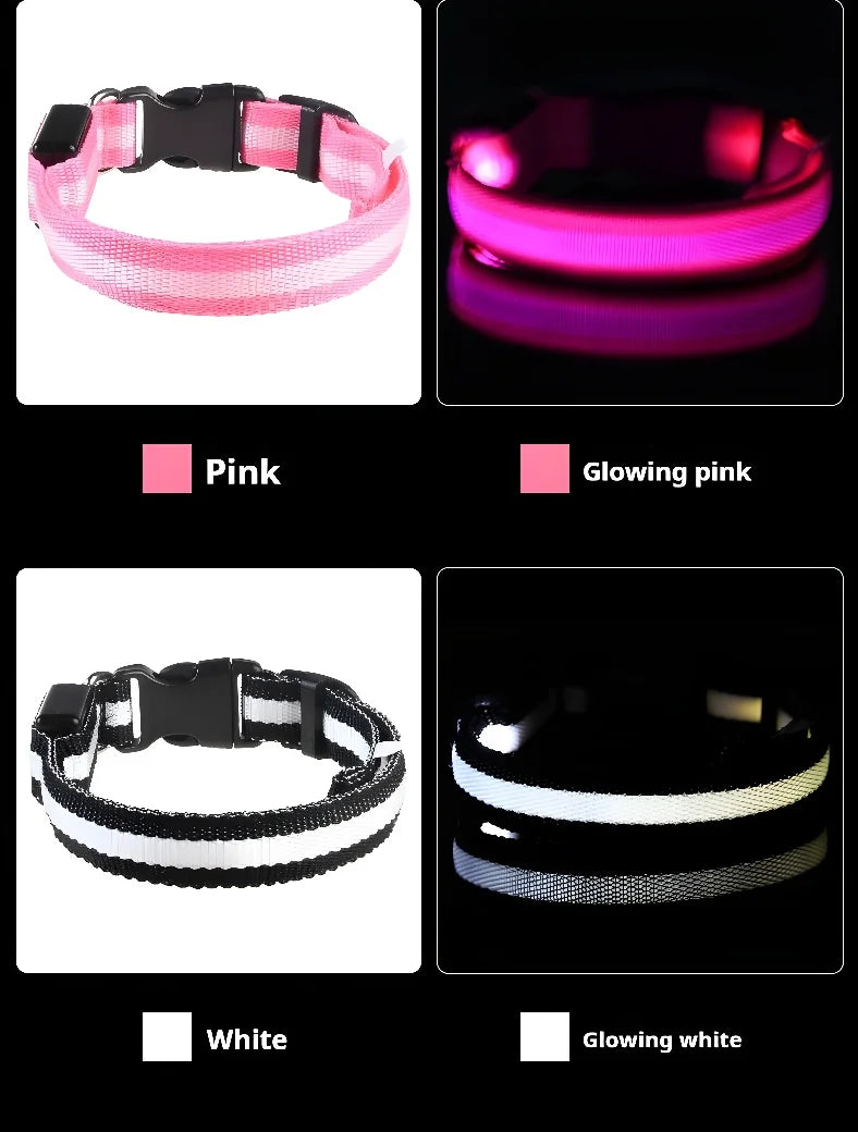 Collier Lumineux LED pour Chien – Sécurité Nocturne, Réglable & Résistant, Multi-Modes & Haute Visibilité