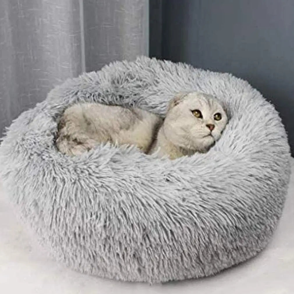 Panier Douillet pour Chats â Lit Moelleux et Chaud en Peluche đ±đ€