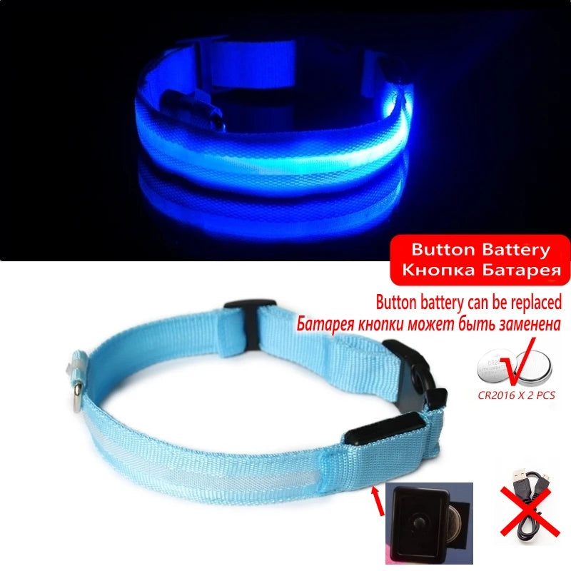 Collier Lumineux LED pour Chiens et Chats – Sécurité Nocturne & Recharge USB 🔦🐶🐱
