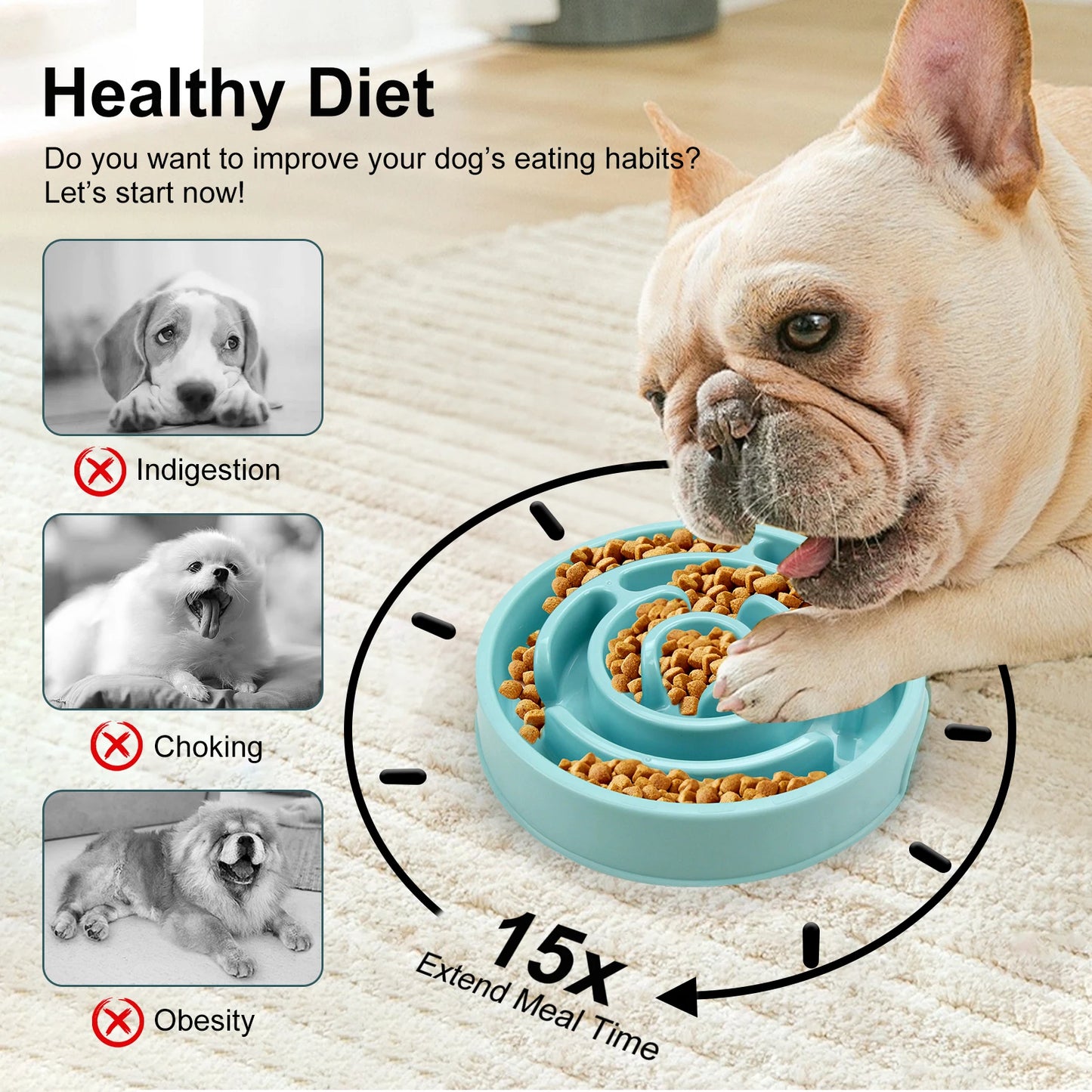 🐶 Bol Anti-Glouton pour Chiens – Ralentissez les Repas pour une Meilleure Digestion ! 🦴