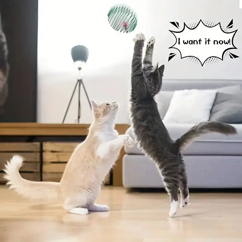 Jouet Ressort Interactif pour Chats – Amusement Infini et Stimulation 🐾🎾