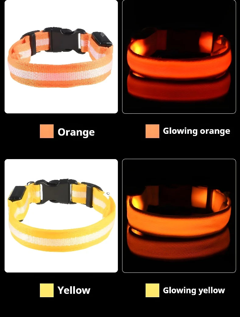 Collier Lumineux LED pour Chien – Sécurité Nocturne, Réglable & Résistant, Multi-Modes & Haute Visibilité