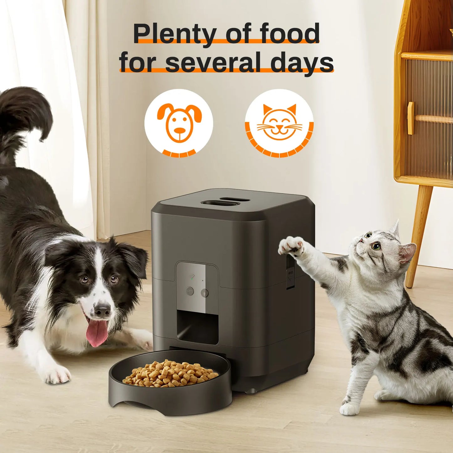 Distributeur Automatique de Nourriture pour Chiens et Chats – Alimentation Intelligente et Équilibrée