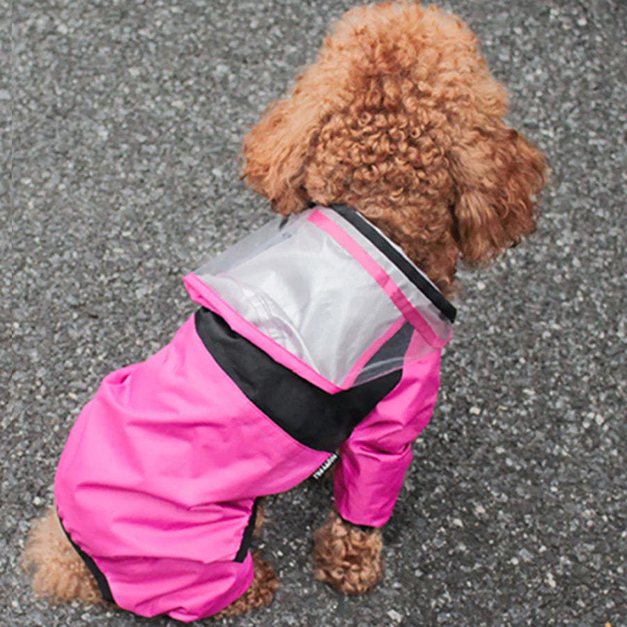 Imperméable pour Chiens – Léger, Confortable & Étanche avec Capuche Transparente