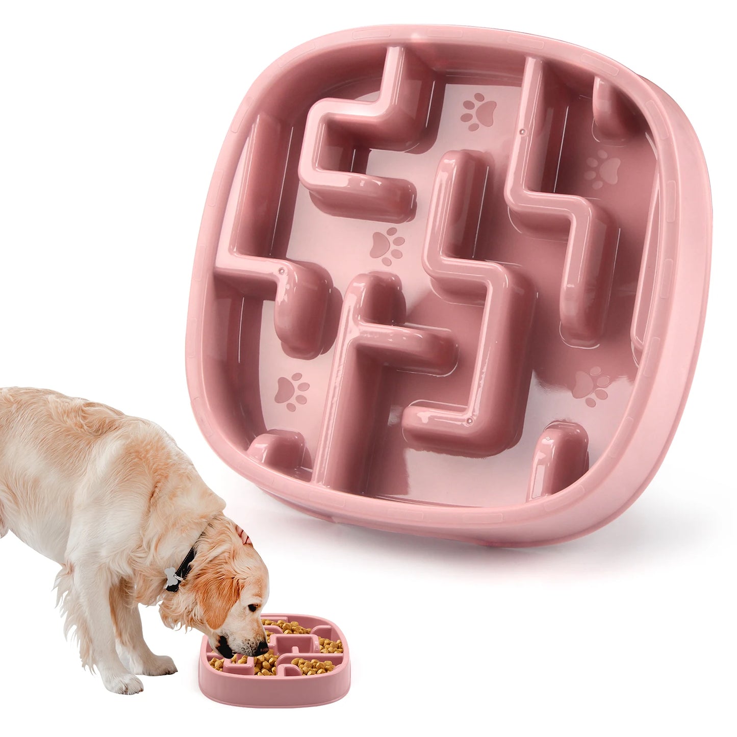 🐶 Bol Anti-Glouton pour Chiens – Ralentissez les Repas pour une Meilleure Digestion ! 🦴